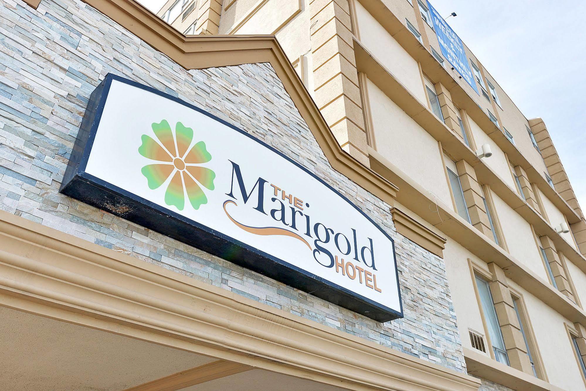 The Marigold Hotel Brampton Exterior photo