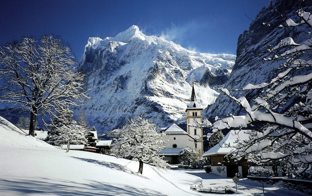 Parkhotel Schoenegg Grindelwald Exterior photo