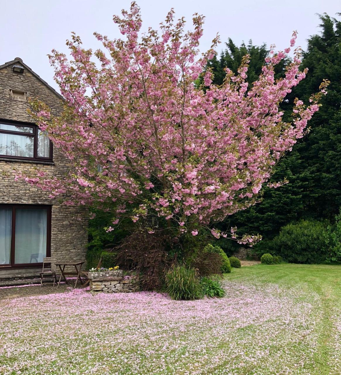 Best Western Compass Inn Tormarton Exterior photo