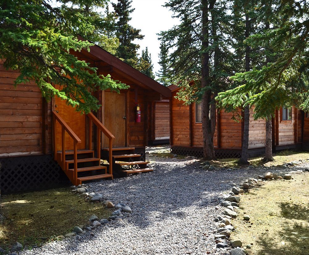 Denali Cabins Villa Denali Park Exterior photo