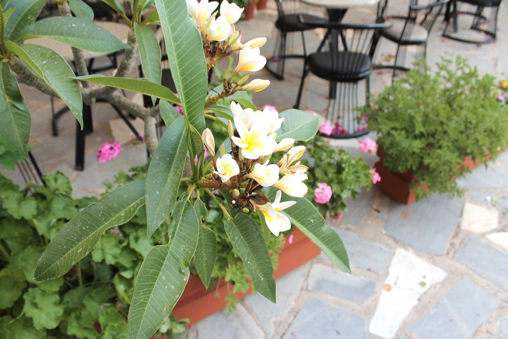 Esperides Hotel Ierapetra  Exterior photo