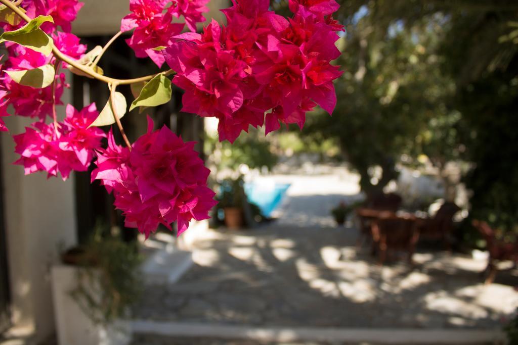 Esperides Hotel Ierapetra  Exterior photo