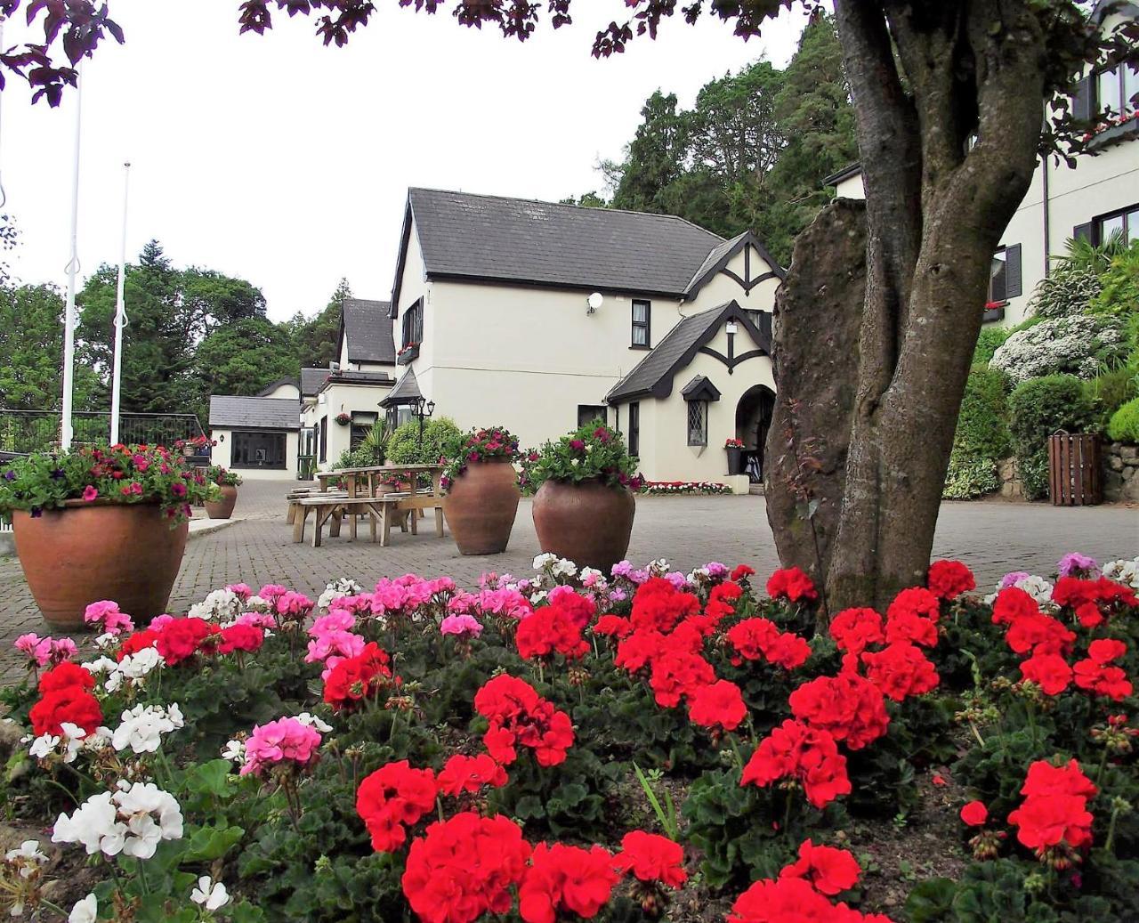 Aherlow House Hotel & Lodges Exterior photo