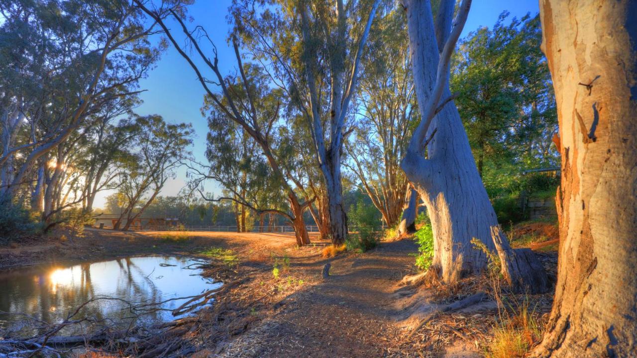 Moama Riverside Holiday Park Exterior photo