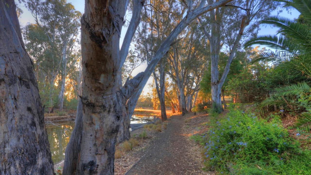 Moama Riverside Holiday Park Exterior photo