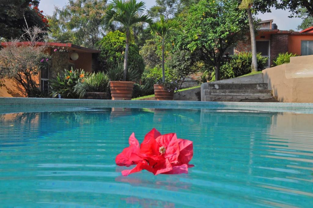 Hotel Bungalows Las Rosas Cuernavaca Facilities photo