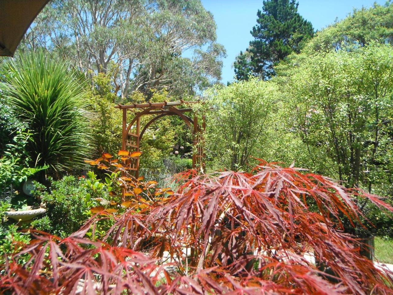 Crimson Villa Katoomba Exterior photo
