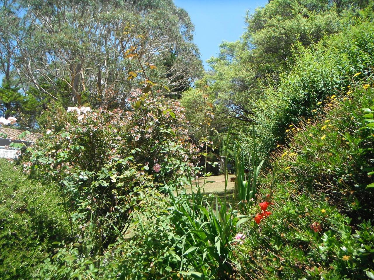 Crimson Villa Katoomba Exterior photo