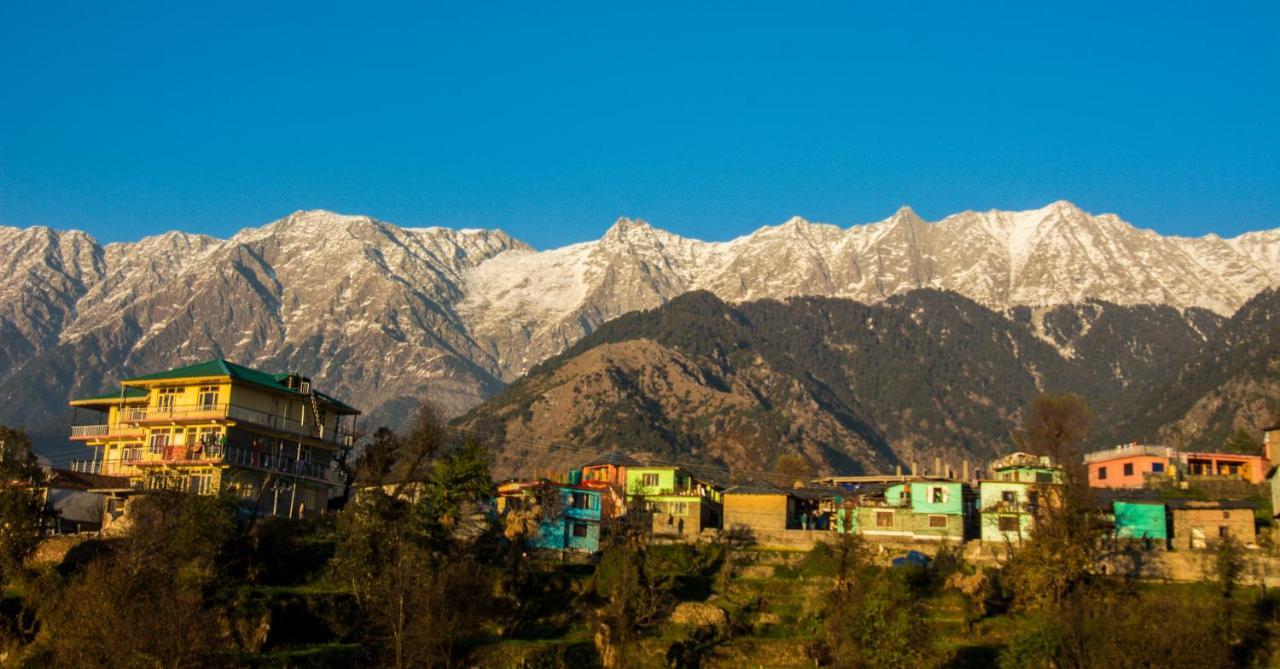 Bob'S N Barley Hotel Dharamshala Exterior photo