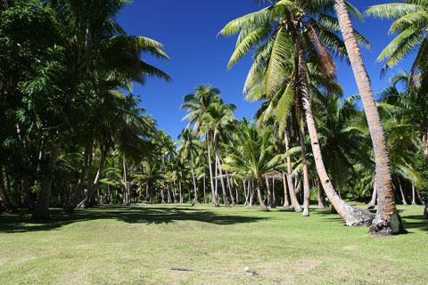 Naigani Island Resort Facilities photo