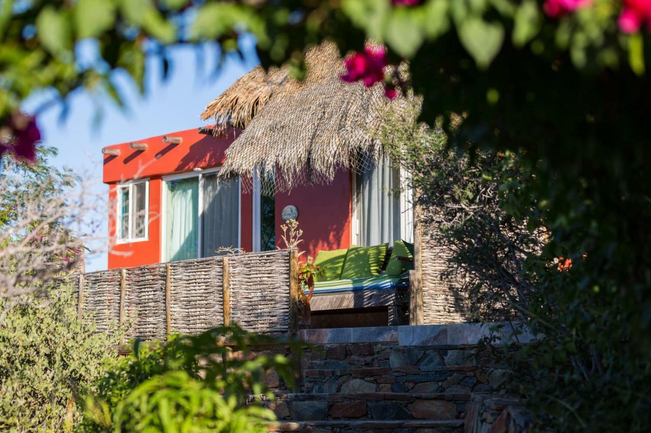 Los Colibris Casitas Todos Santos Exterior photo