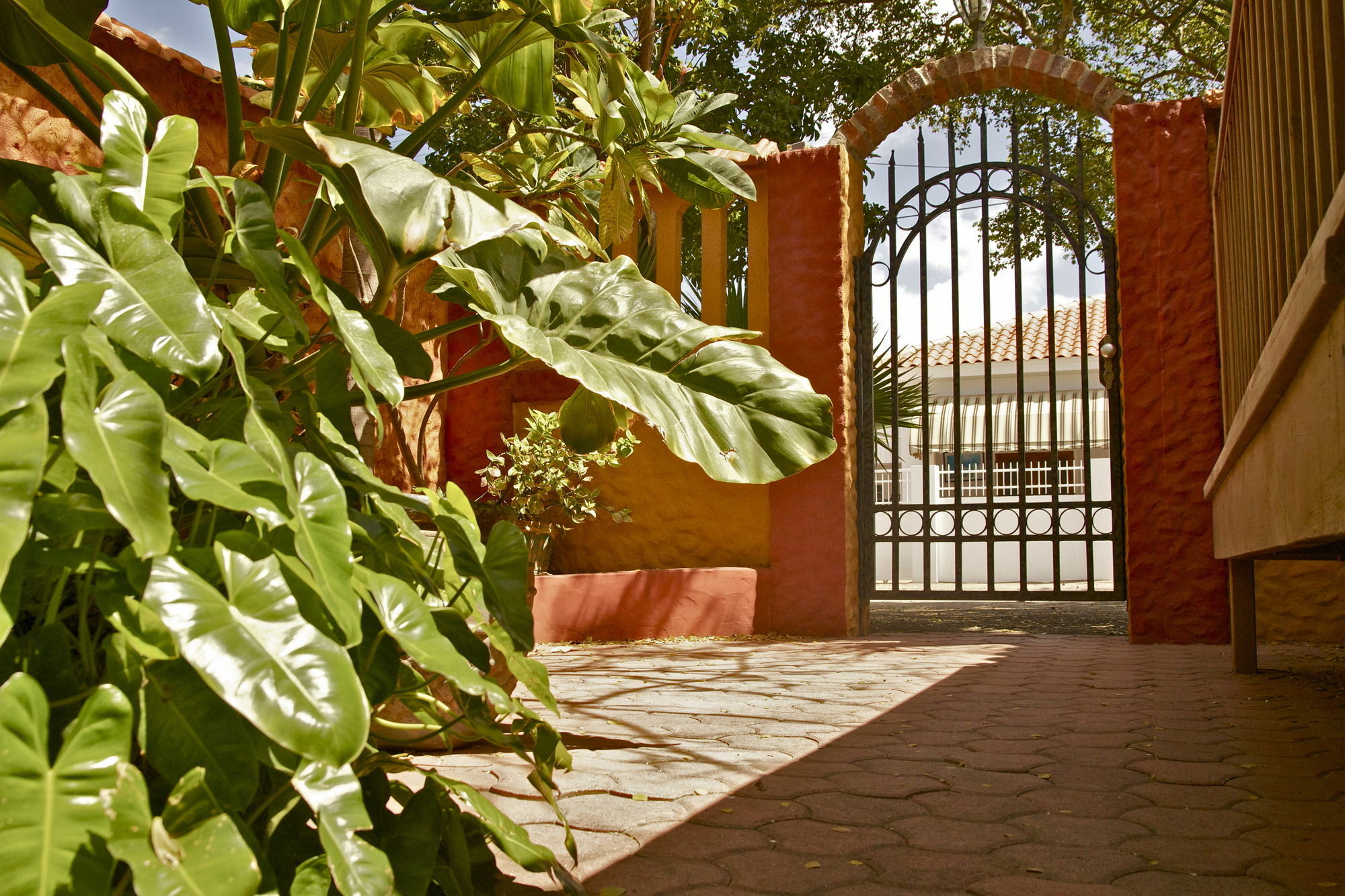 Flamboyant Garden Villas Oranjestad Exterior photo