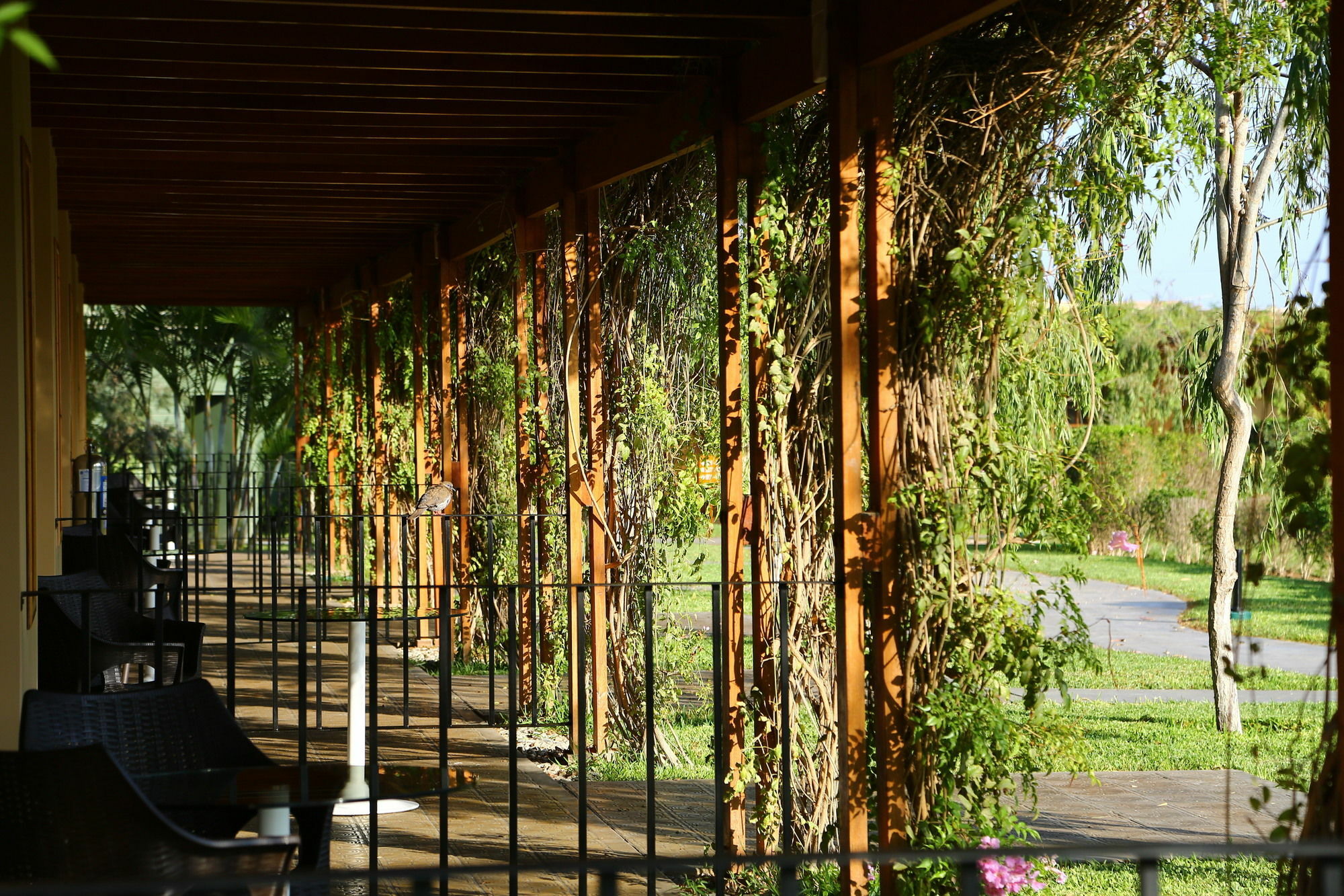 Casa Andina Standard Chincha Hotel Chincha Alta Exterior photo