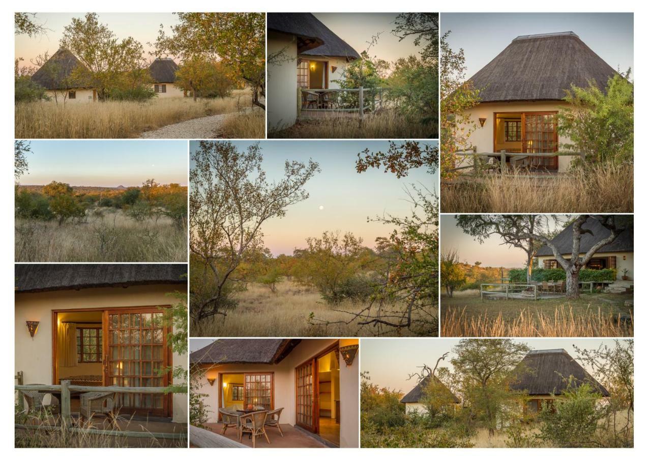 Mbizi Bush Lodge Grietjie Game Reserve Exterior photo