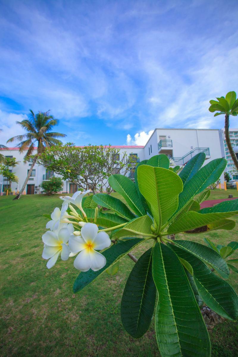 Garden Villa Hotel Tumon Exterior photo