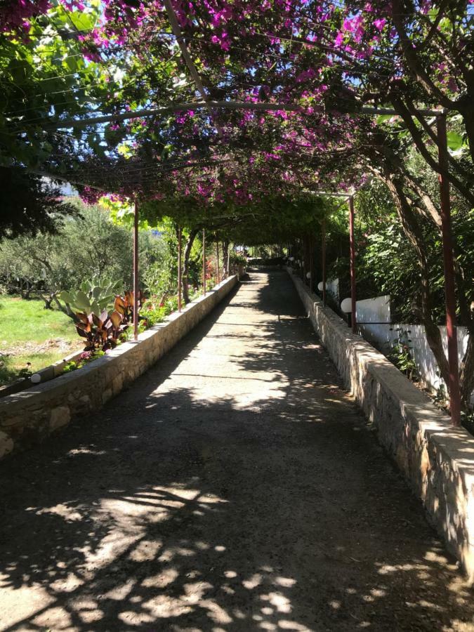 Knossos Aparthotel Panormos  Exterior photo