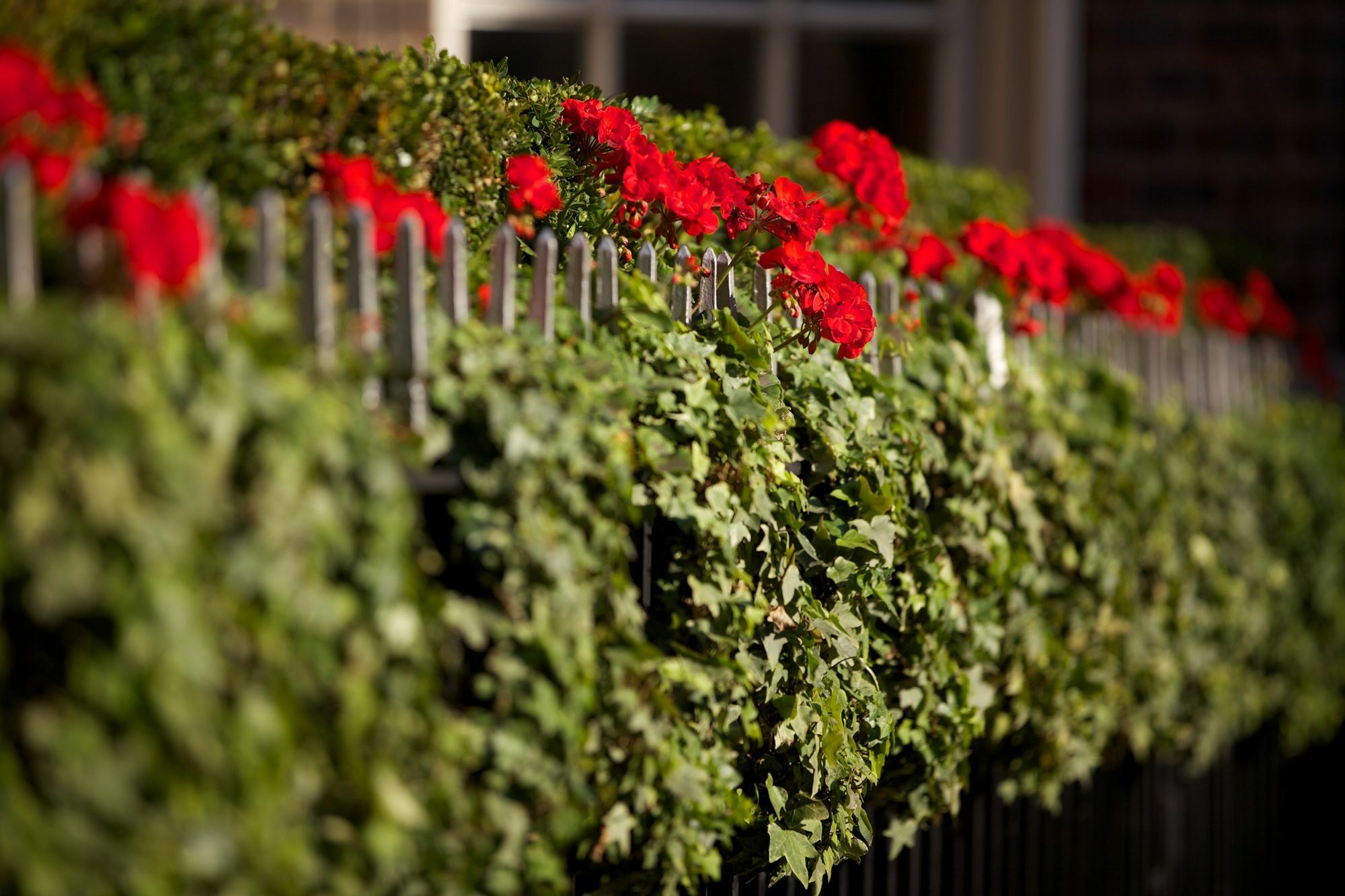 The Chesterfield Mayfair London Exterior photo