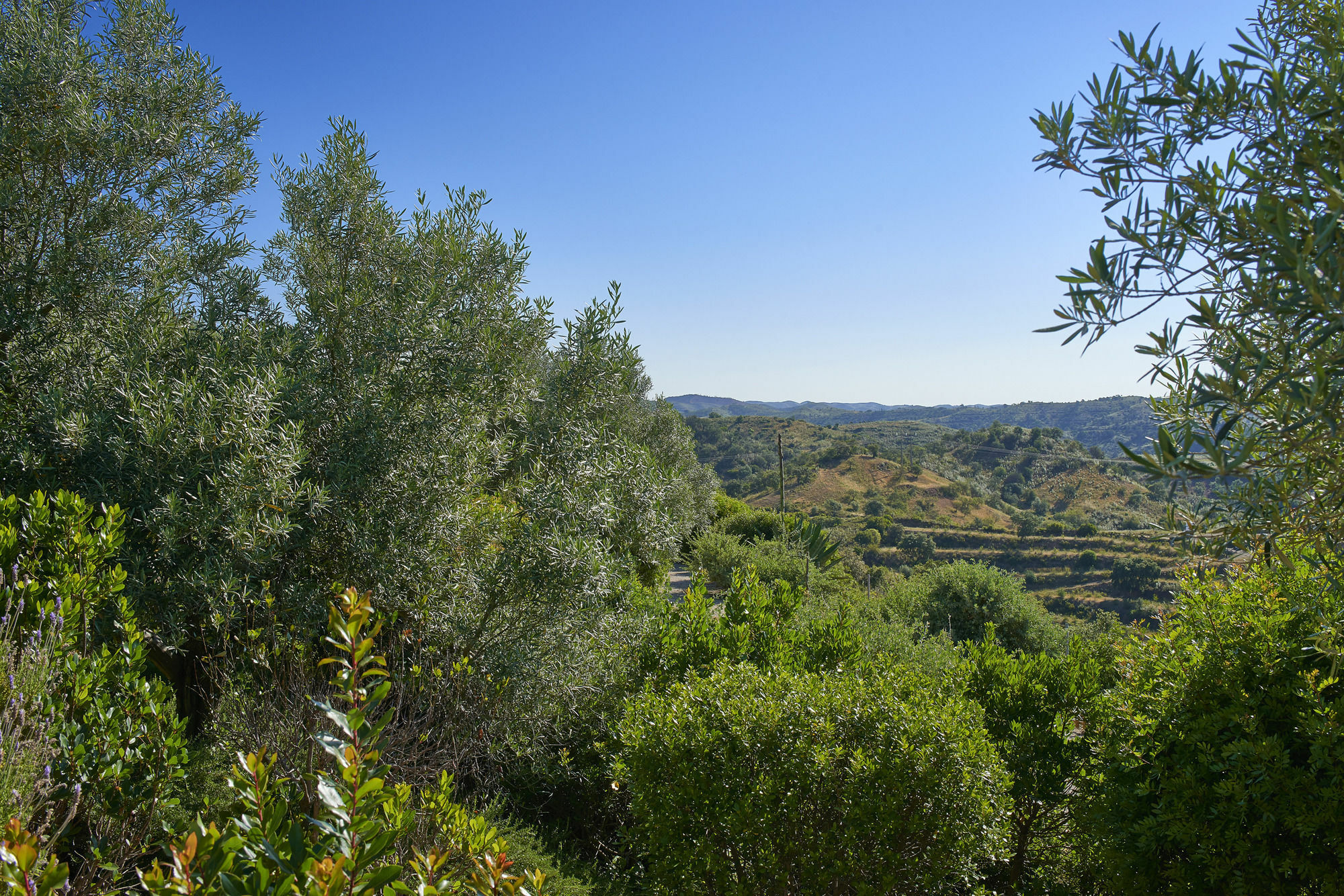 Hotel Rural Quinta Do Marco - Nature & Dining Tavira Exterior photo