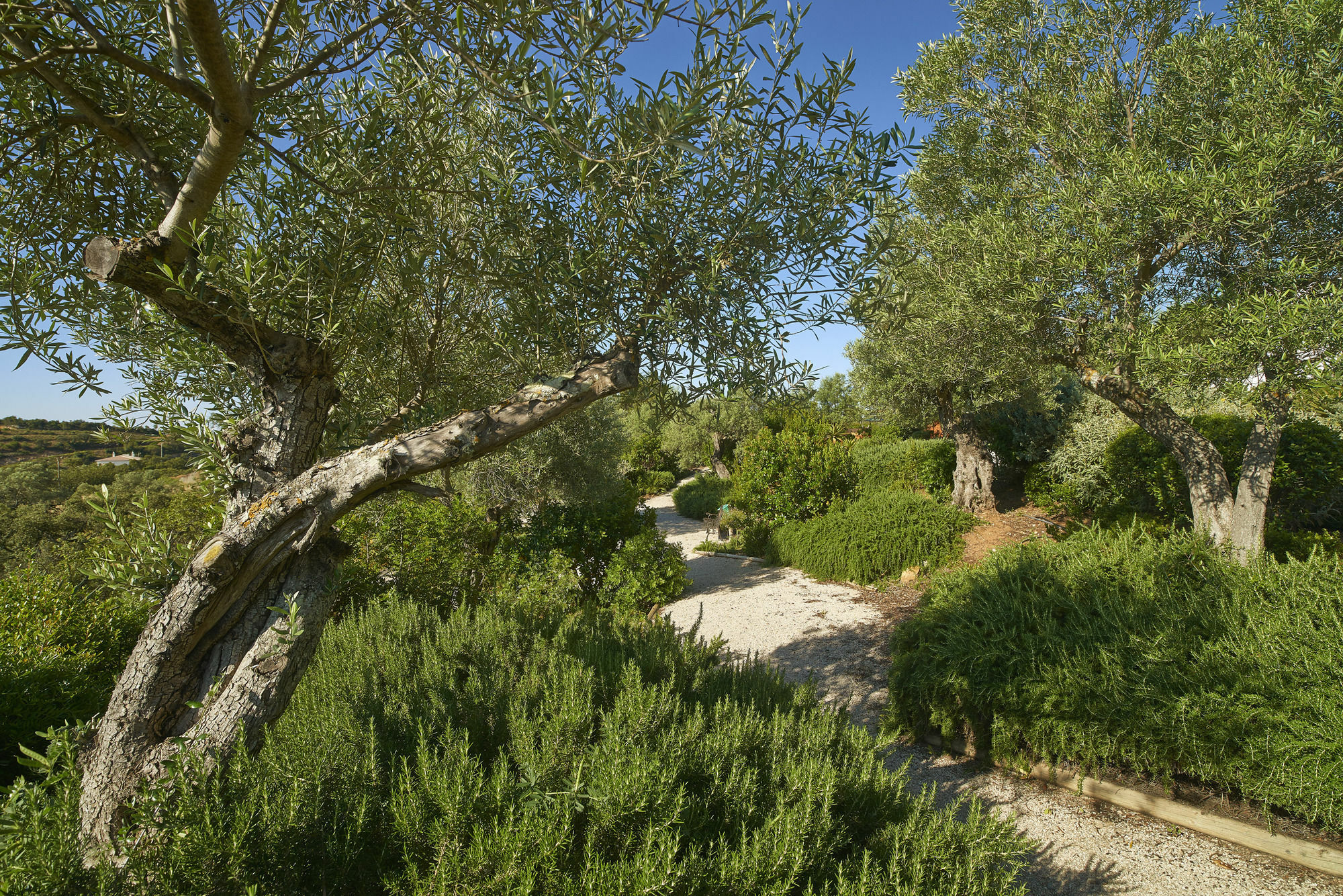 Hotel Rural Quinta Do Marco - Nature & Dining Tavira Exterior photo