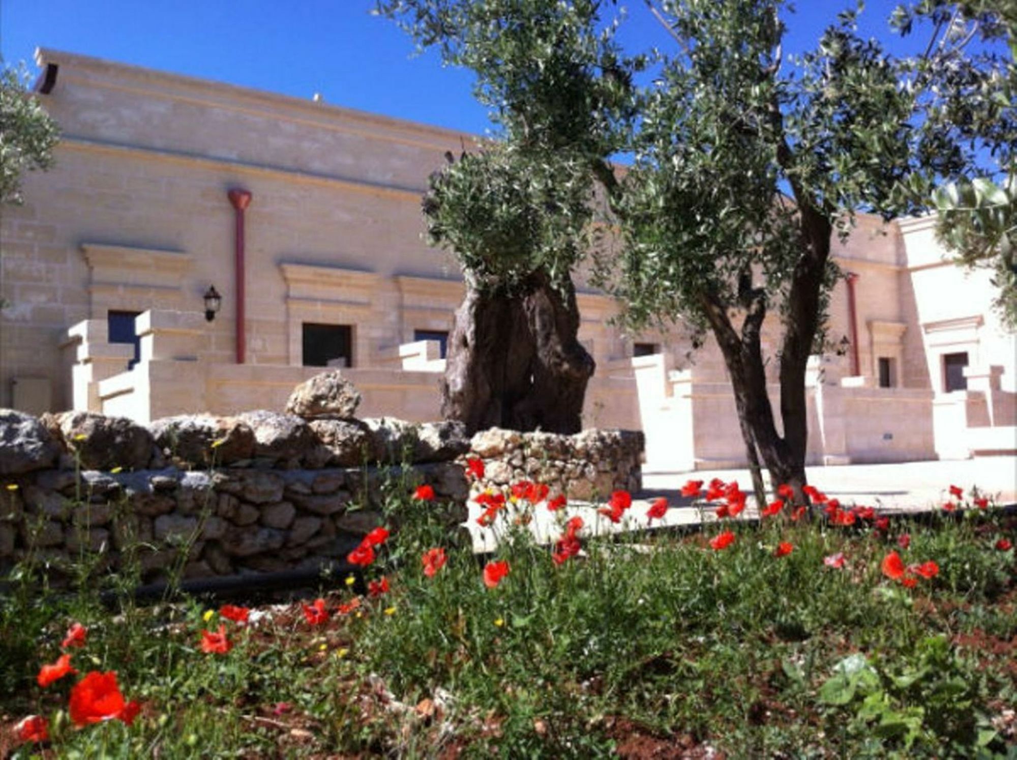 Agriturismo Masseria San Leonardo Savelletri Exterior photo