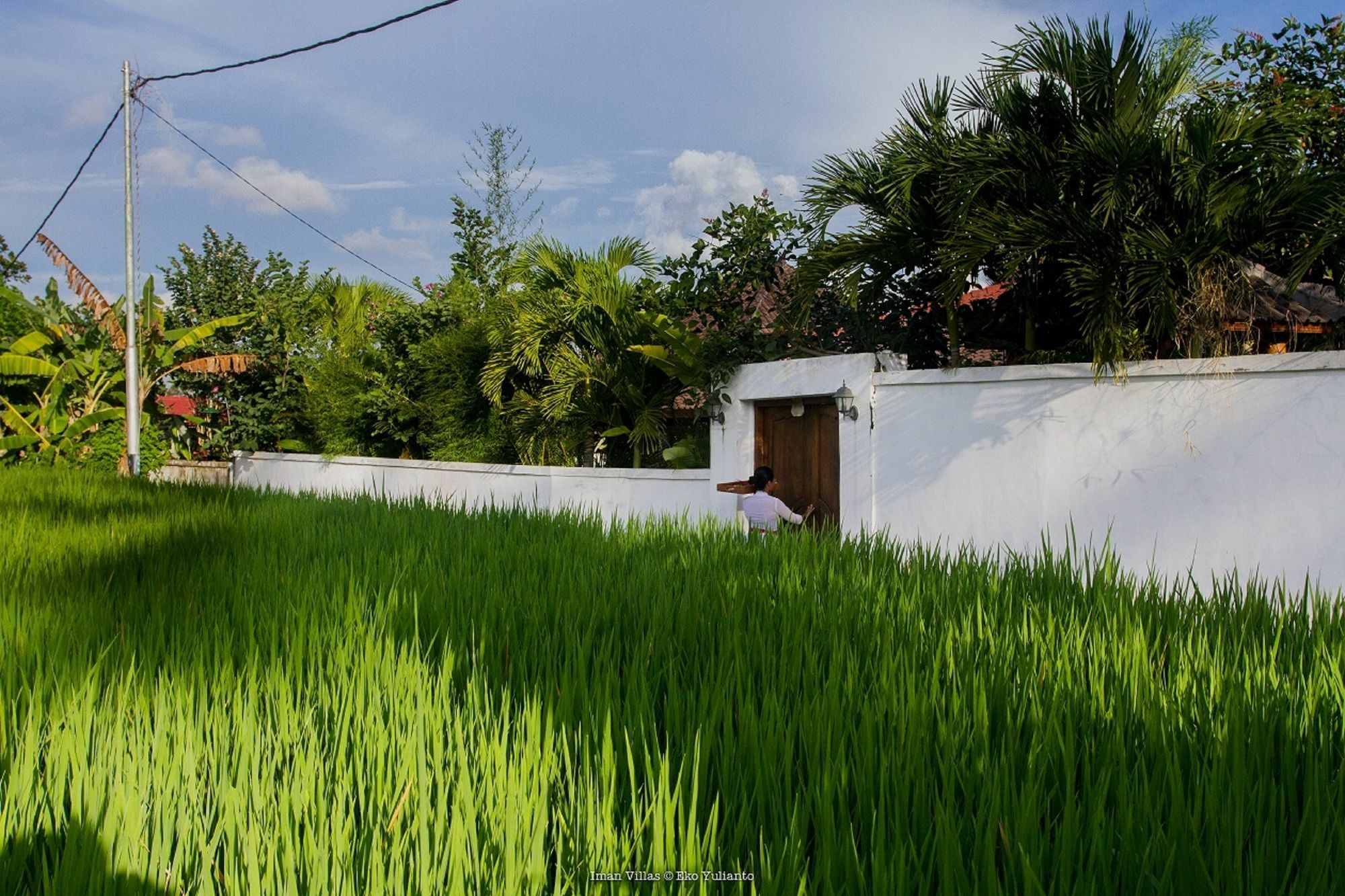 Villa Iman Ubud  Exterior photo