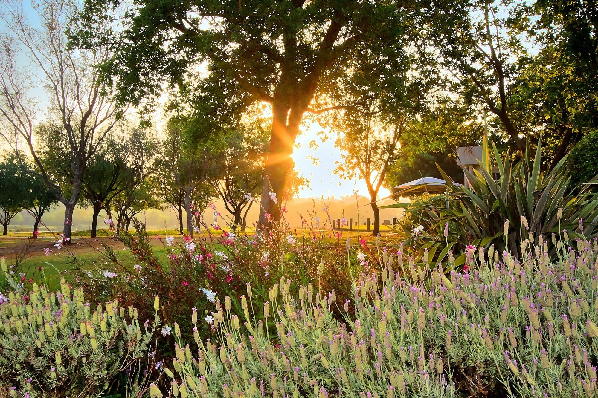 Centurion Golf Suites Boca Walk Exterior photo