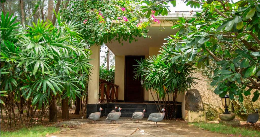 Ocean Spray Hotel Kalapettai Exterior photo