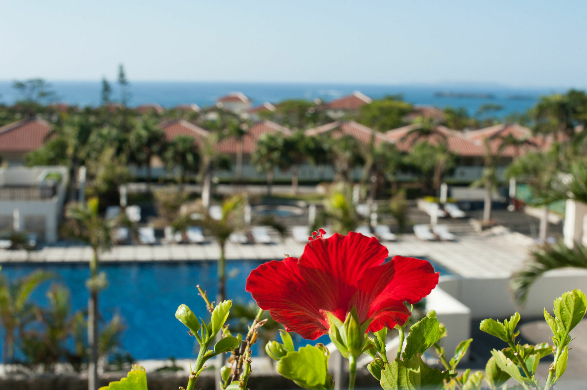 Kanucha Bay Hotel & Villas Nago Exterior photo