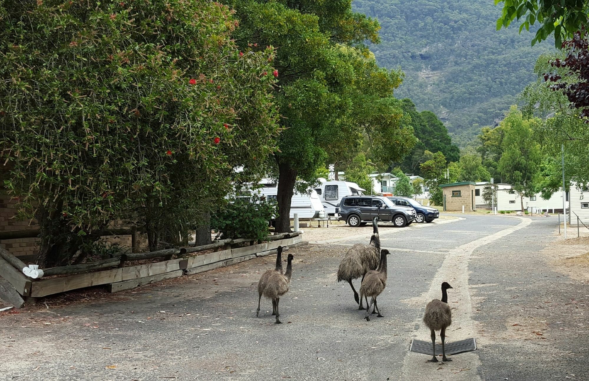 Breeze Holiday Parks - Halls Gap Exterior photo