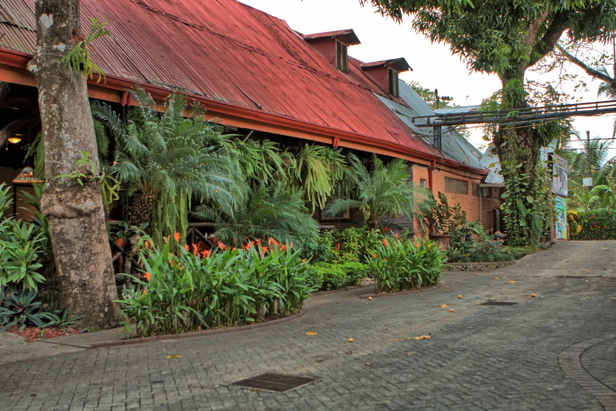 Diuwak Hotel Dominical Exterior photo