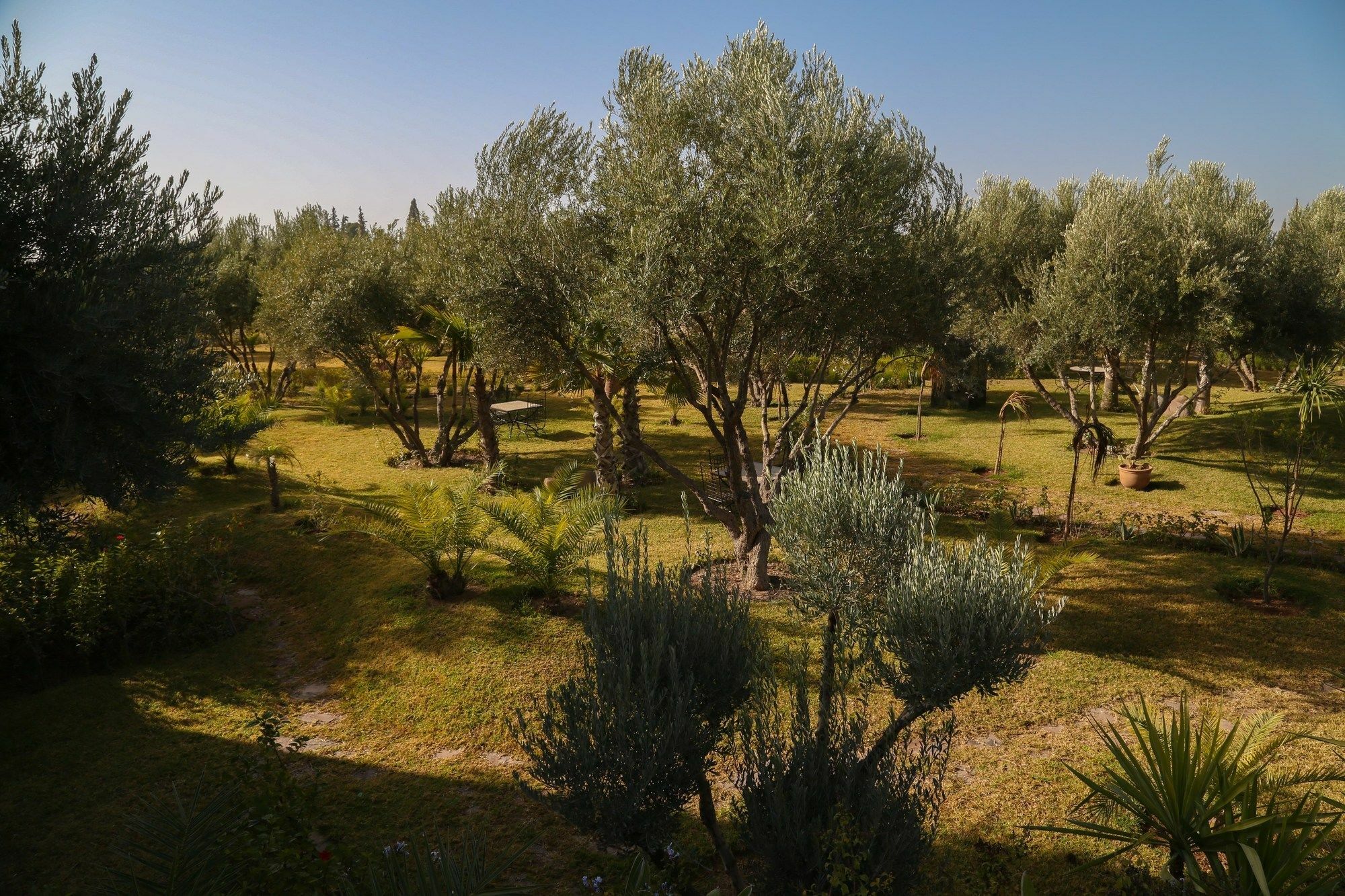 Le Clos Des Oliviers Marrakech Ouled Jelal Exterior photo