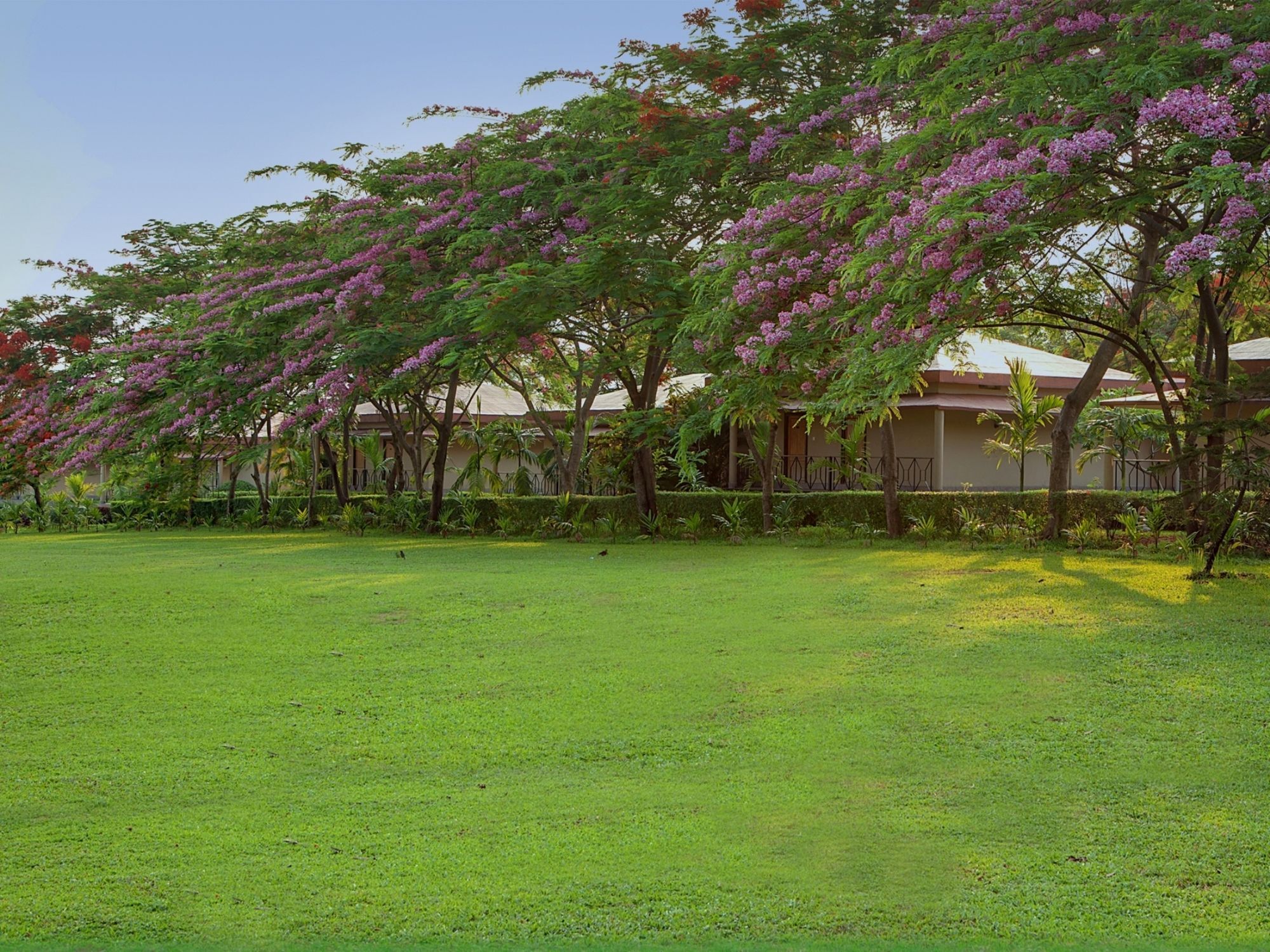 Sinclairs Retreat Dooars, Chalsa Hotel Exterior photo