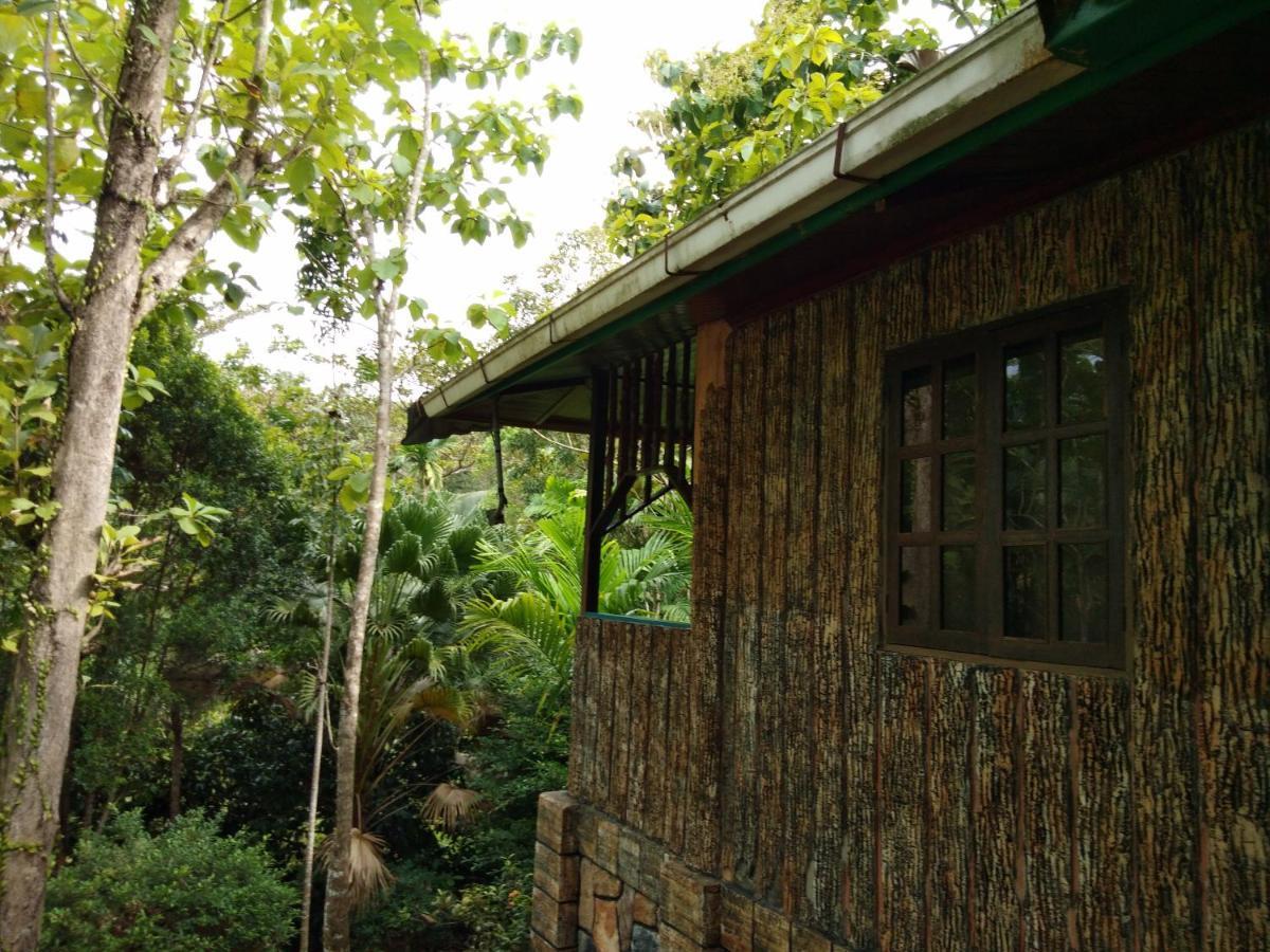 Sepilok Jungle Resort Exterior photo