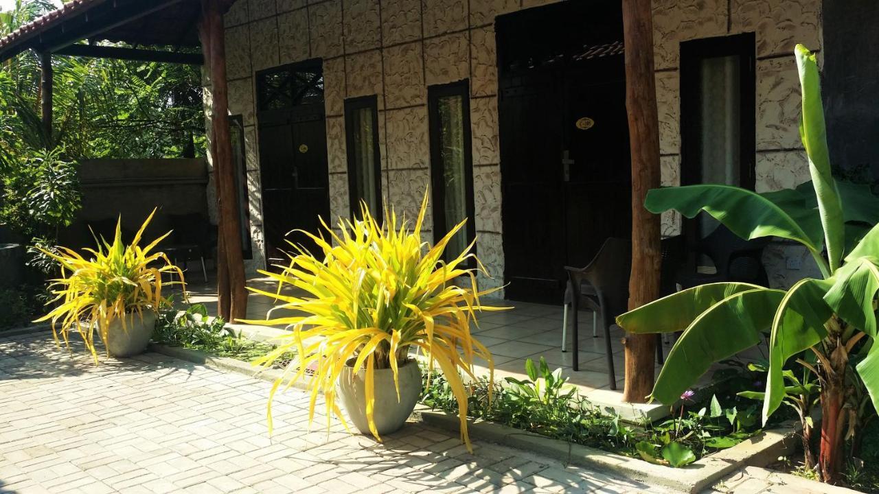 Maple Leaf Hotel Negombo Exterior photo