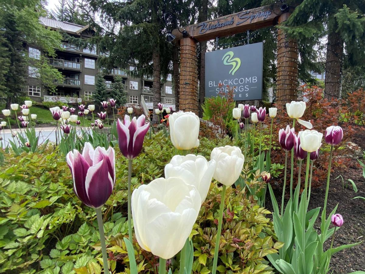 Blackcomb Springs Suites By Clique Whistler Exterior photo