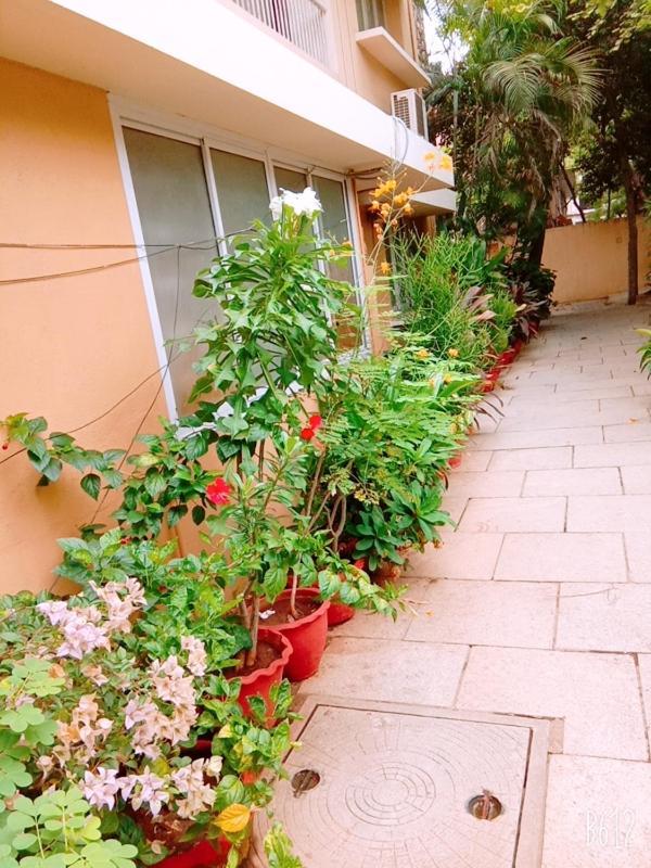 Hanu Reddy Residences Wallace Garden Chennai Exterior photo