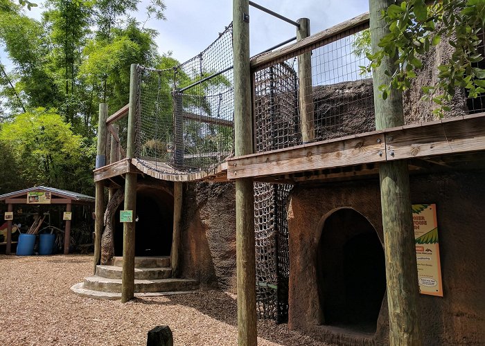 Brevard Zoo photo