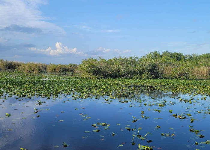 Everglades National Park Entrance Near Homestead photo