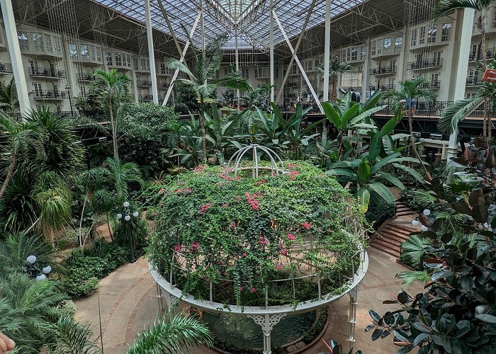 Garden Conservatory at the Gaylord Opryland photo