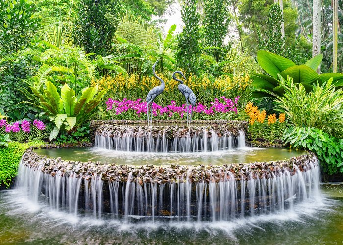 Singapore Botanical Gardens photo