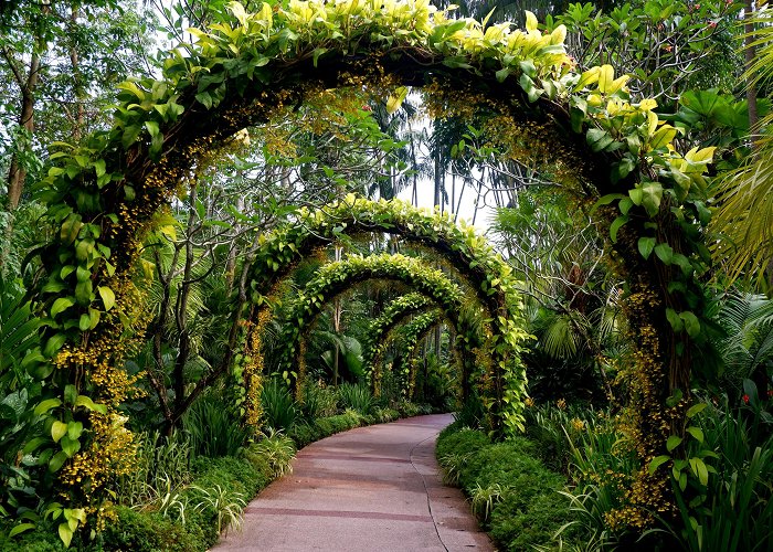 Singapore Botanical Gardens photo