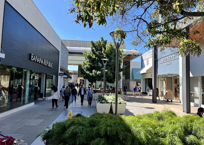 Stanford Shopping Center photo