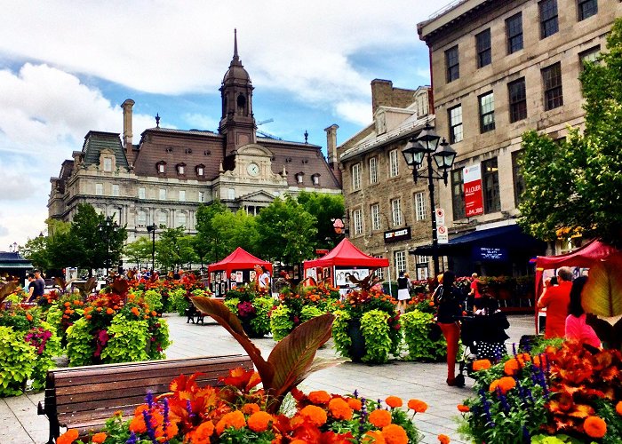 Place jacques Cartier Montreal, Place Jacques Cartier | Montreal travel, Beautiful ... photo