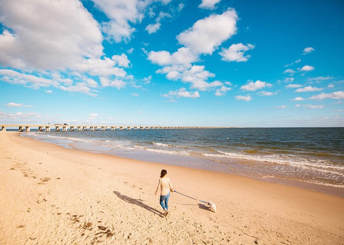 Chic's Beach Discover Chesapeake Bay | Find Hotels, Restaurants & Rentals photo