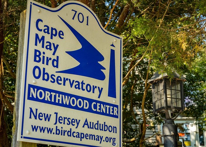 Cape May Bird Observatory Cape May Bird Observatory Tours - Book Now | Expedia photo