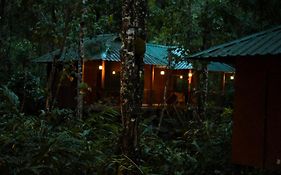 Monsoon Retreats Ecostay- Treehouse Thekkady Exterior photo