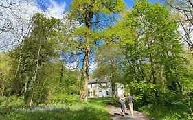 Blackhill Woods Retreat Guest House Abbeyleix Exterior photo