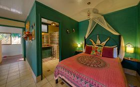 Lucky Bug Bed And Breakfast Nuevo Arenal Exterior photo
