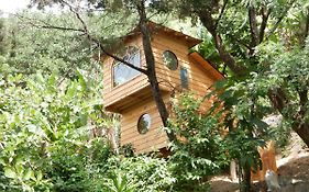 Treehouse Retreat - Glamping Plus Villa Santa Cruz La Laguna Exterior photo
