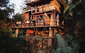 The Treehouse Hostel Granada Exterior photo